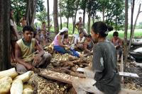 FAMILY PROCESING MANIOK